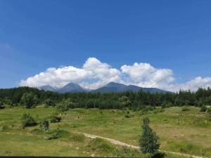 Saint John Hill Apartment