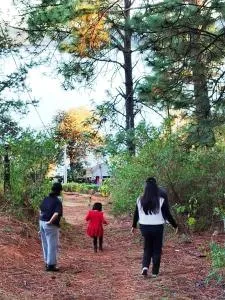 Cabaña Casa Tiño - Apatzingán de la Constitución