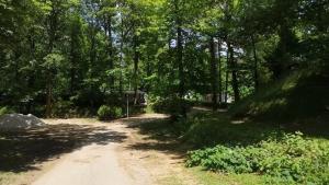B&B / Chambres d'hotes Une petite chambre en foret a Saint Cheron : photos des chambres