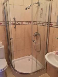 Double or Twin Room with Shower room in Arany Elefánt Panzió