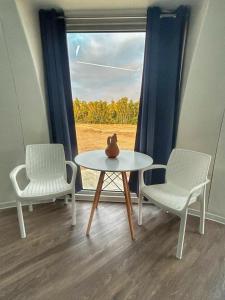 Iglú Simbad con vista al cielo