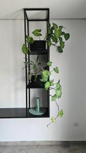 Casa J moderna con amplio jardín en barrio de profesionales