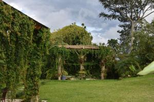 Cabin at Los Titos Coffee Farm