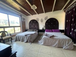 La Palapa & Posada Mía