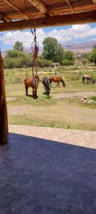 Cabañitas EL REPOSO HUMAHUACA