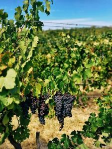 Downing Estate Homestead