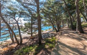 Apartments by the sea Drage, Biograd - 22187