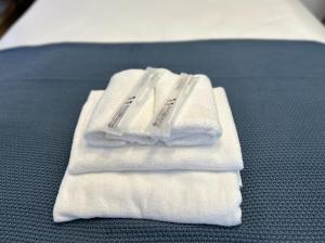 ステイピア今宮101