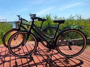 Dutch House in azy near Lake Jamno