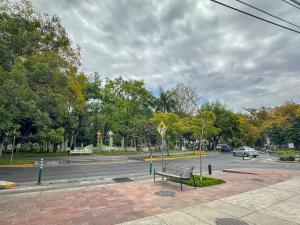Estudio de dos camas Céntrico en Chapalita 13