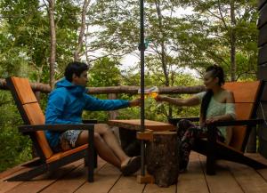 Refugios de bosque en Coñaripe