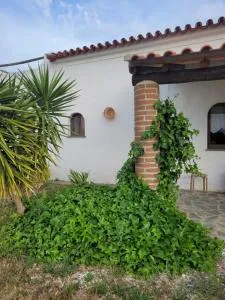 Quinta da Belavista - Aldeia do Mato