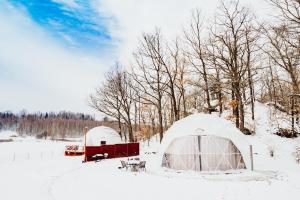 Karkonoski Glamping