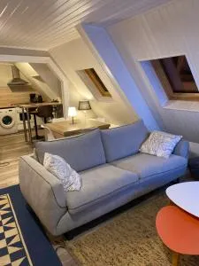 Joli 2 pièces, climatisé avec terrasse, vue sur les toits, en zone piétonne - 阿格诺