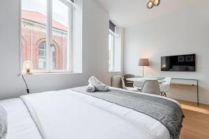 Vieux Lille - Neat and bright apartment