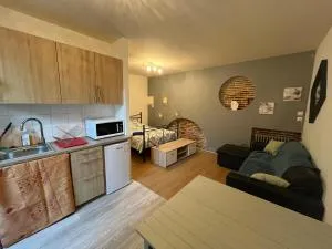 Grand STUDIO SUR COUR PRIVATIVE - Labarthe-sur-Lèze