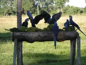 波萨达阿瓜佩酒店 - 阿基道阿纳