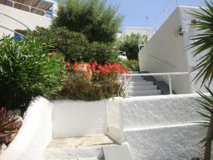 Hotel Aegean Home Studios & Apartments Kalymnos Greece
