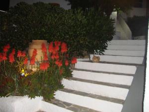 Hotel Aegean Home Studios & Apartments Kalymnos Greece