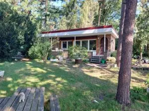 Traumblick Uelsen - Getelo