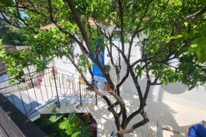 Beautiful house in the city