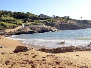 Appartements T2 avec terrasse, parking, piscine, tennis, a 200 m plage et commerces, Six-Fours-les-Plages - FR-1-316-115 : Appartement (4 Adultes)