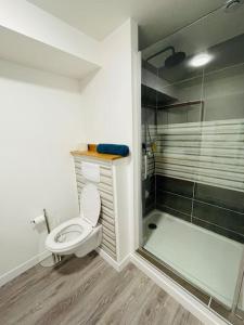 Appartements Studio 1 agreable et spacieux a la gare de Lorient : photos des chambres