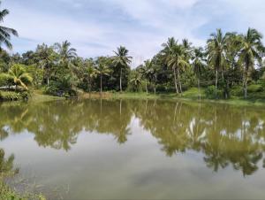 DeLakeside musslims homestay