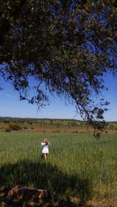 Herdade Geralda, Estrada Nacional 256, 7200-178 N256, Portugal.