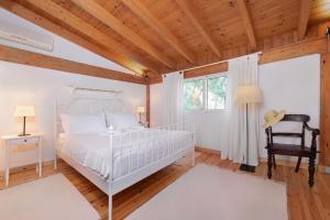 4 BD Luxurious villa with swimming pool