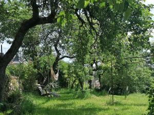 Maisons de vacances Gite Le Temps Serene : photos des chambres