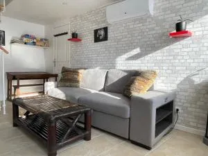 Maison Le grand sapin , 5min du zoo parc de Beauval - La Cévrie