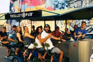 Beautiful Queen Luxury Suite Near Downtown Norfolk