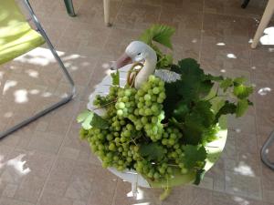 Hotels Hotel Punta e Mare des Chambres ou des Appartements T2 : photos des chambres