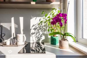 Blissful Retreat Apartment