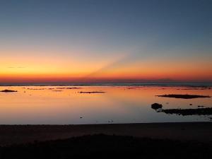 Au paradis des Lapas