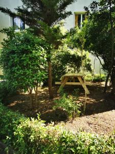 Appartements Les Studios du Parc Bordelais - Le Sommelier : Appartement 1 Chambre