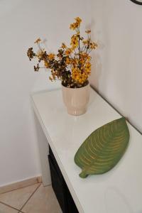 Florina Modern Studio