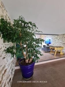Maisons de vacances Le Petit Loup grande maison de charme en campagne : photos des chambres
