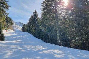 Chalets Chalet, Murat (nouveau logement) : photos des chambres