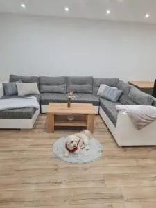 Dom pri rieke s parkovaním - Svederník