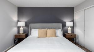 Landing Modern Apartment with Amazing Amenities (ID9104X76)