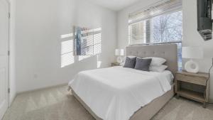 Landing Modern Apartment with Amazing Amenities (ID9302X17)