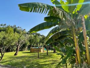Casa Aia Sole with pool, AC, garden, barbecue