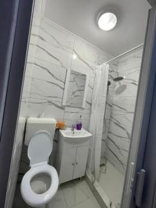 Apartament cu o camera