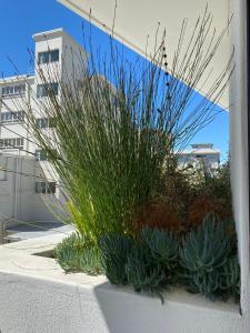 Stay Blissful at The Flamingo