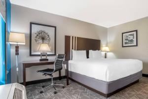 King Room - Non Smoking room in Best Western Andalusia Inn