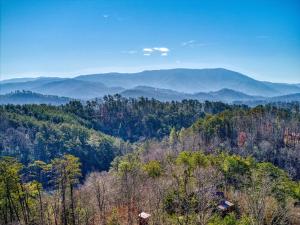 Timeless View - Mountain Views, Hot Tub, WIFI, Game Room, Free Attraction Tickets!