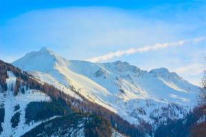 Ski-in Ski-out Chalet Maiskogel 17C - by Alpen Apartments