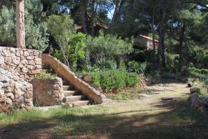 Apartments by the sea Zavala, Hvar - 8809